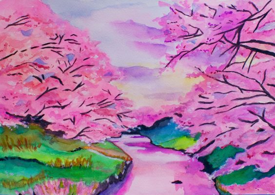 loose_cherryblossoms_jun2023