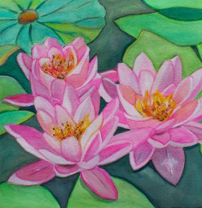 pink_waterlilies_sept2023